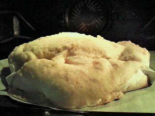 201003221421000.jpg