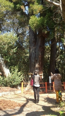 息栖神社 斎藤一人さん