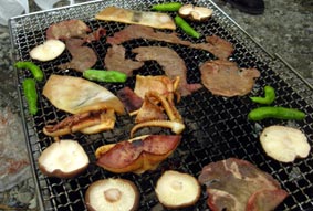 焼き物達