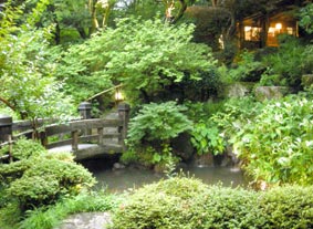 部屋より庭