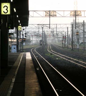 去るはまなす