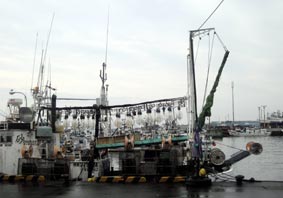 マルトマ前の港
