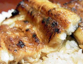 越後屋蒲焼き断面