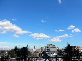 台風一過の順天堂屋上