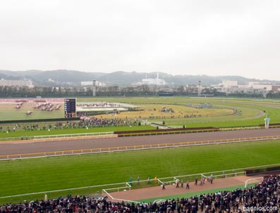 2012年天皇賞曇り競馬場