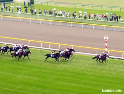 2012年天皇賞シルポート逃げ