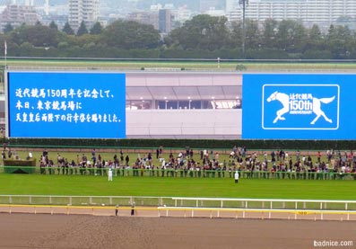 2012年天覧競馬