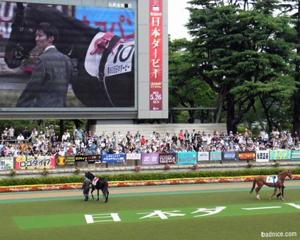 ウイニングチケットとアグネスフライト