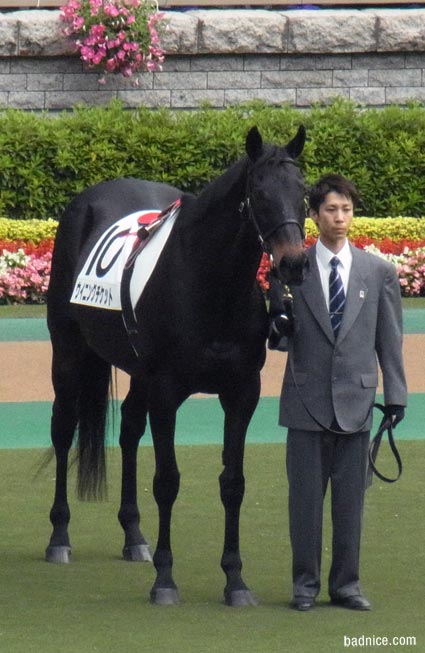 ウイニングチケット