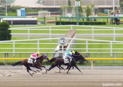 6/23最終レース