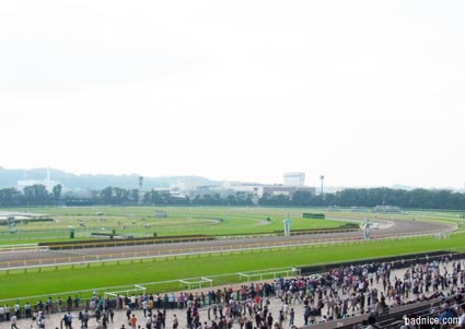 2013年上半期最後の競馬場