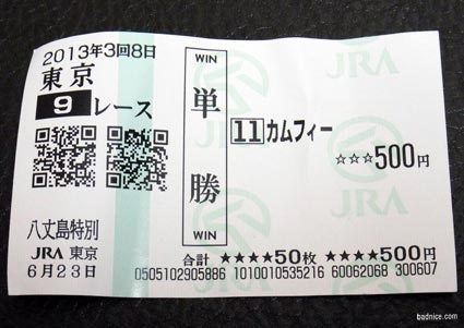 カムフィー馬券