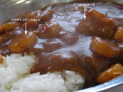 インディアン野菜カレーアップ