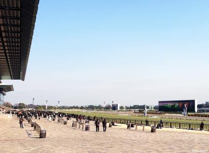 2/24東京競馬場