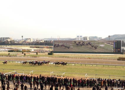 2014年共同通信杯