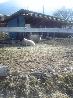 100225_085509.jpg