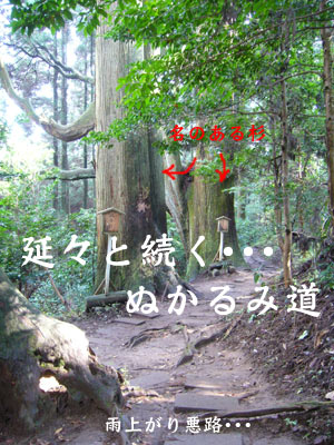 幣立神社 幣立神宮 東御手洗 龍神様