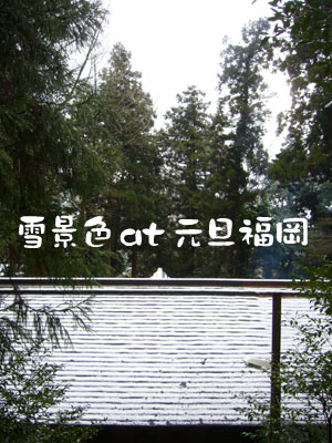 福岡 2009 雪景色