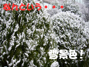 Ê¡²¬¡¡2009¡¡ÂçÀã