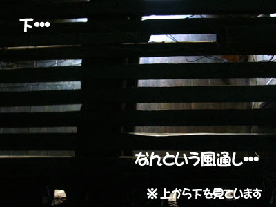 µÜÃÏÖÖ¿À¼Ò¡¡¹ç¾¸Â¤¤ê¡¡Ì±²È¡¡Æó³¬
