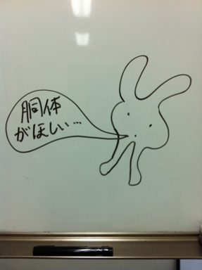 image.jpeg
