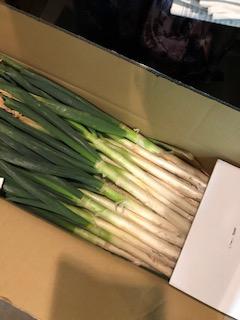 image1.jpeg