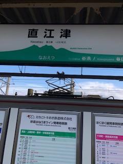 image1.jpeg