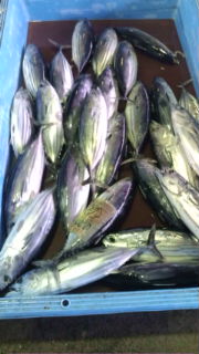 20100401070416.jpg