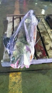 20100401070453.jpg