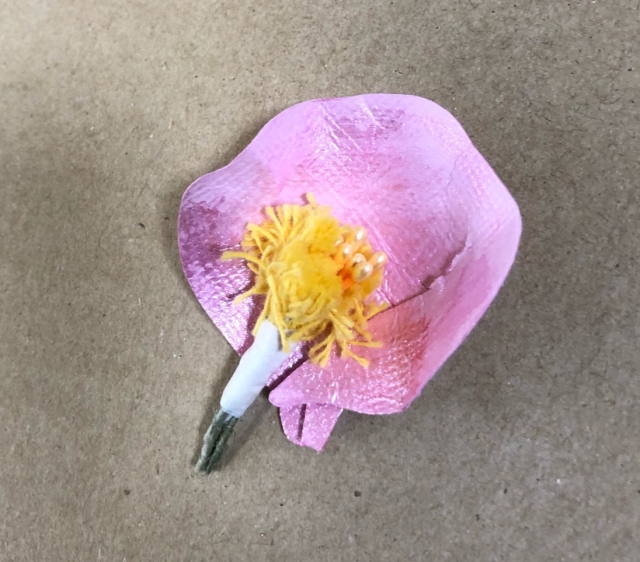 S__67797002.jpg