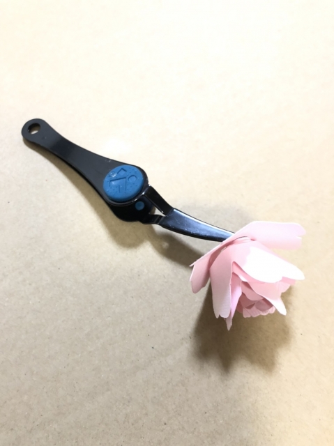S__97042443.jpg