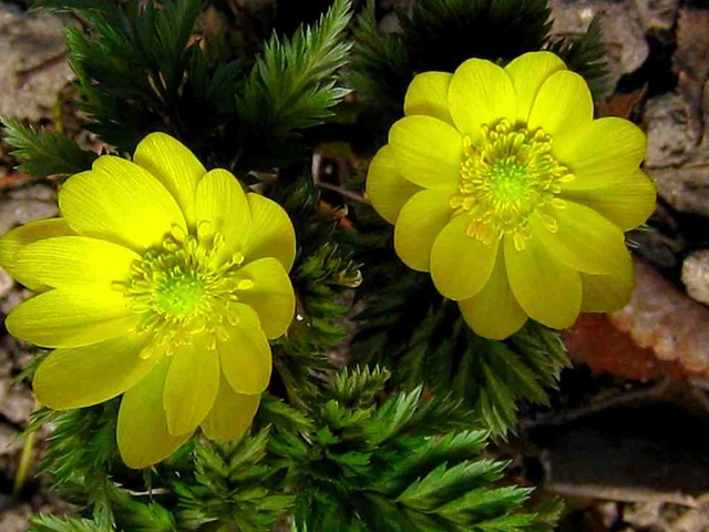 20150221-03