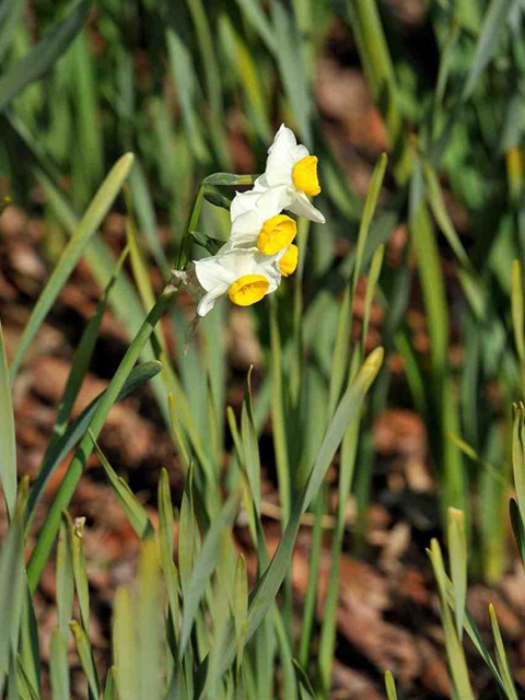 20150221-09