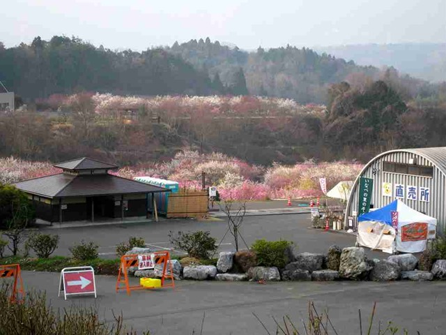 20150322-02