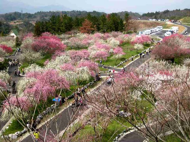 20150322-15
