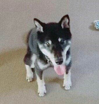 _20170811_093829.JPG