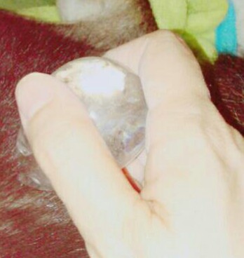 _20170913_201629.JPG