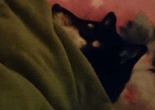 _20171115_195550.JPG