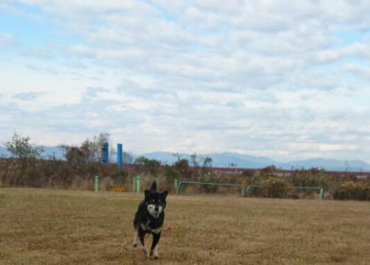 _20171215_095206.JPG