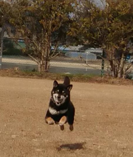 _20180227_150822.JPG