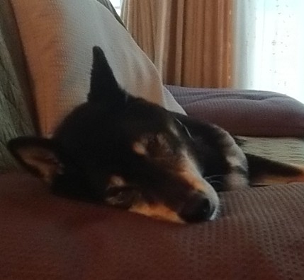 _20180706_175149.JPG