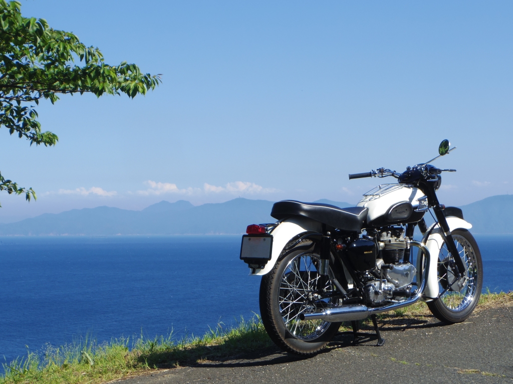 1958 TRIUMPH T110 修理作業報告 オーナー東京都W様 | NUNOBIKI