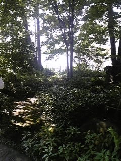 100826_141730.jpg