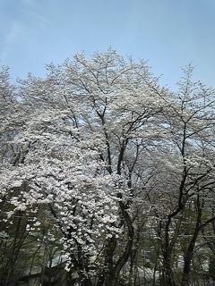 120410_140830.jpg