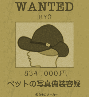 RYO.gif