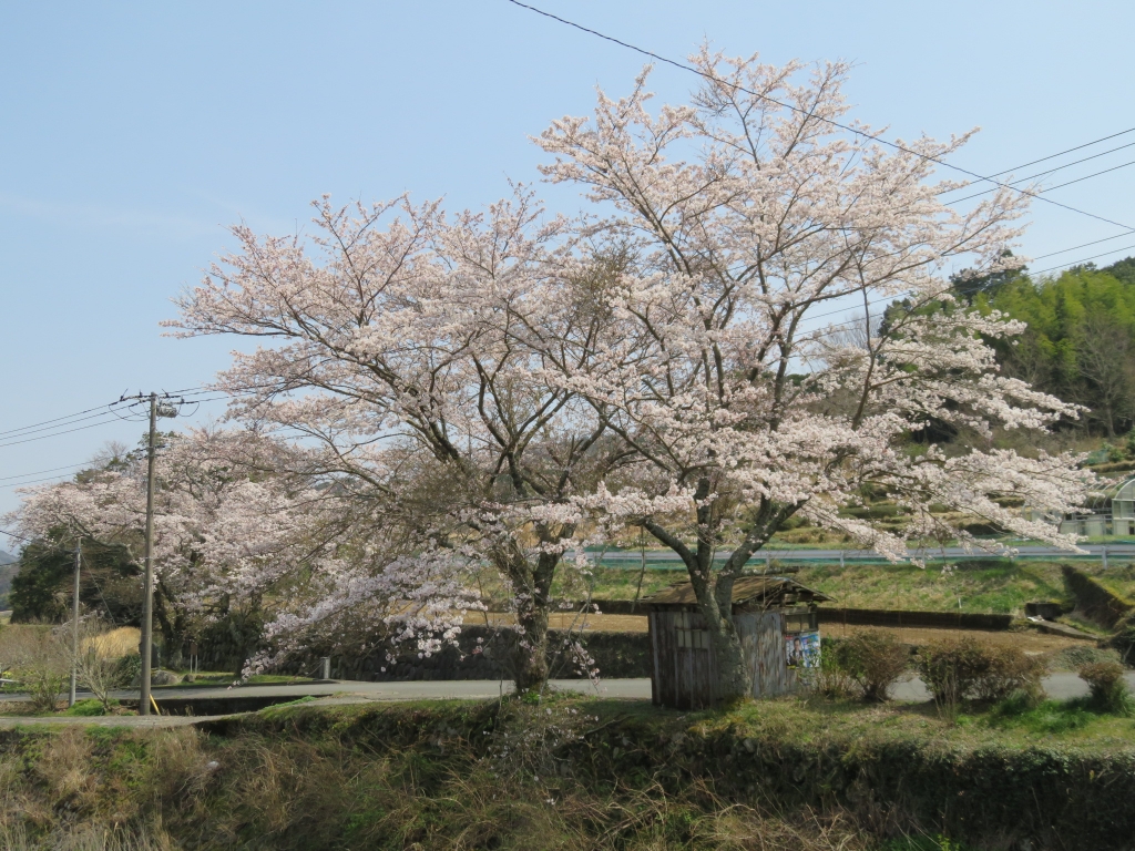みずいけばし2.JPG