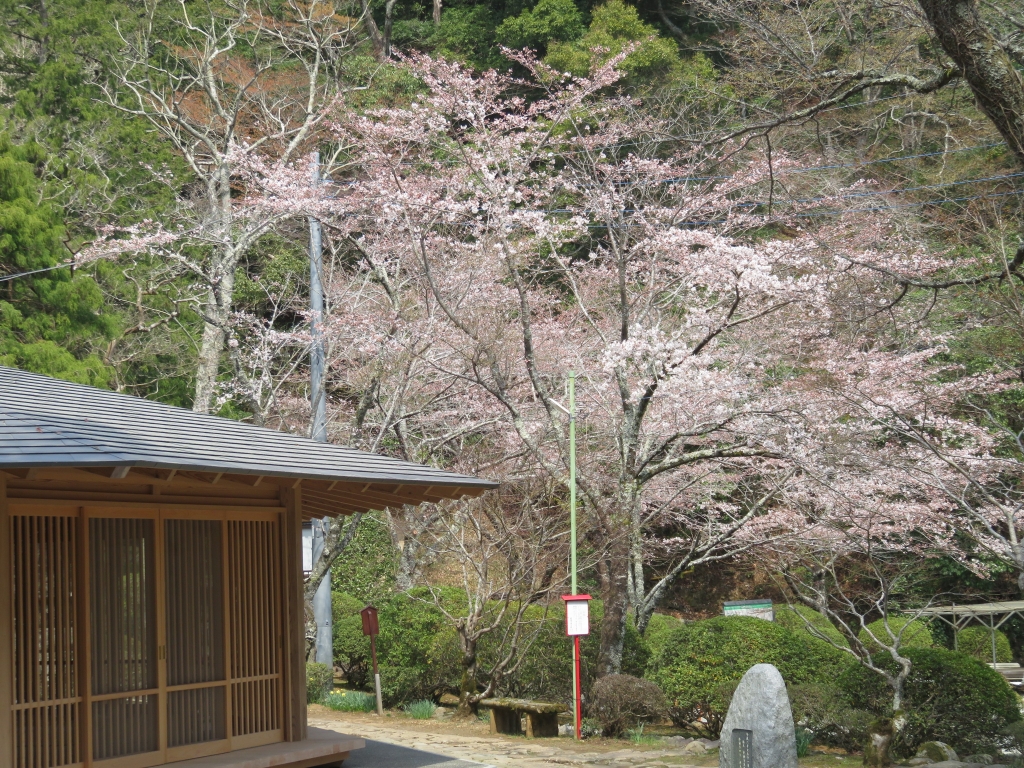 奥の院2.JPG