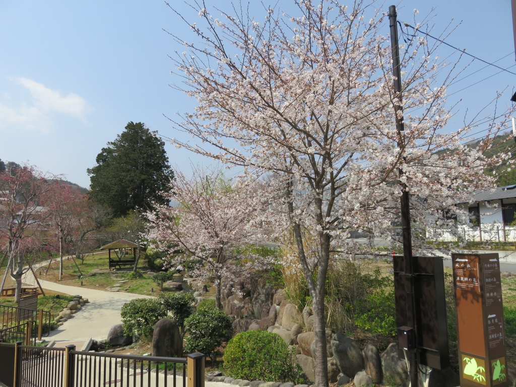 赤蛙公園1.JPG