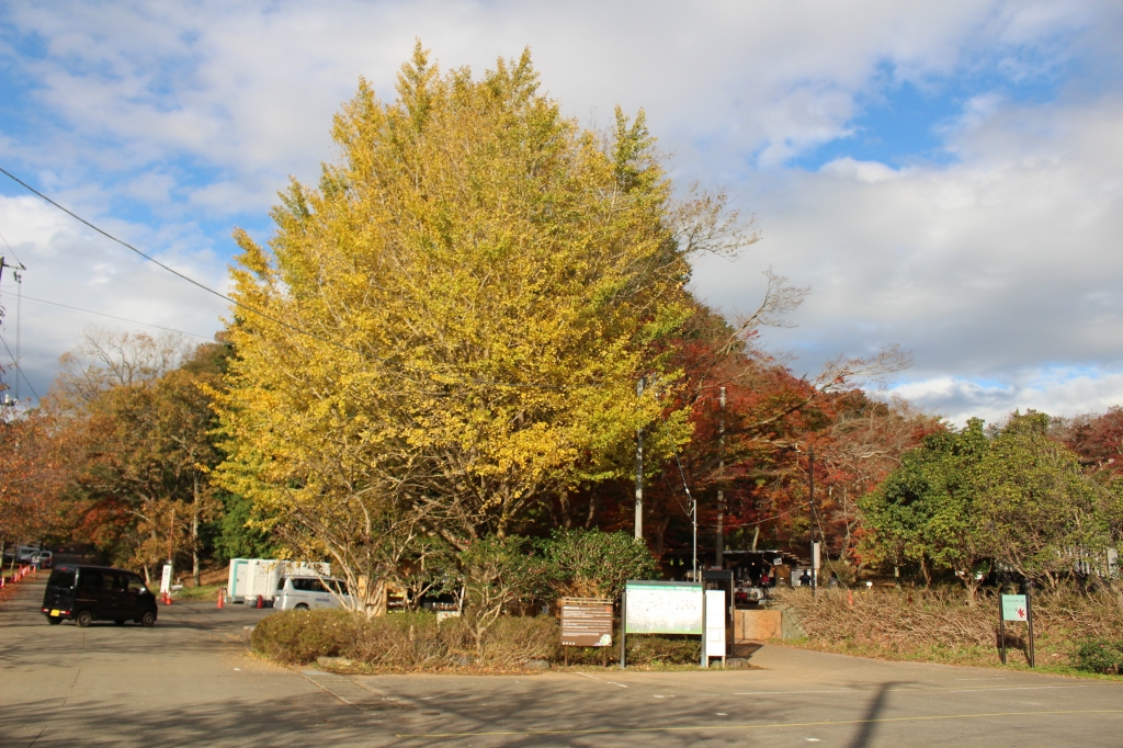 IMG_8675.JPG