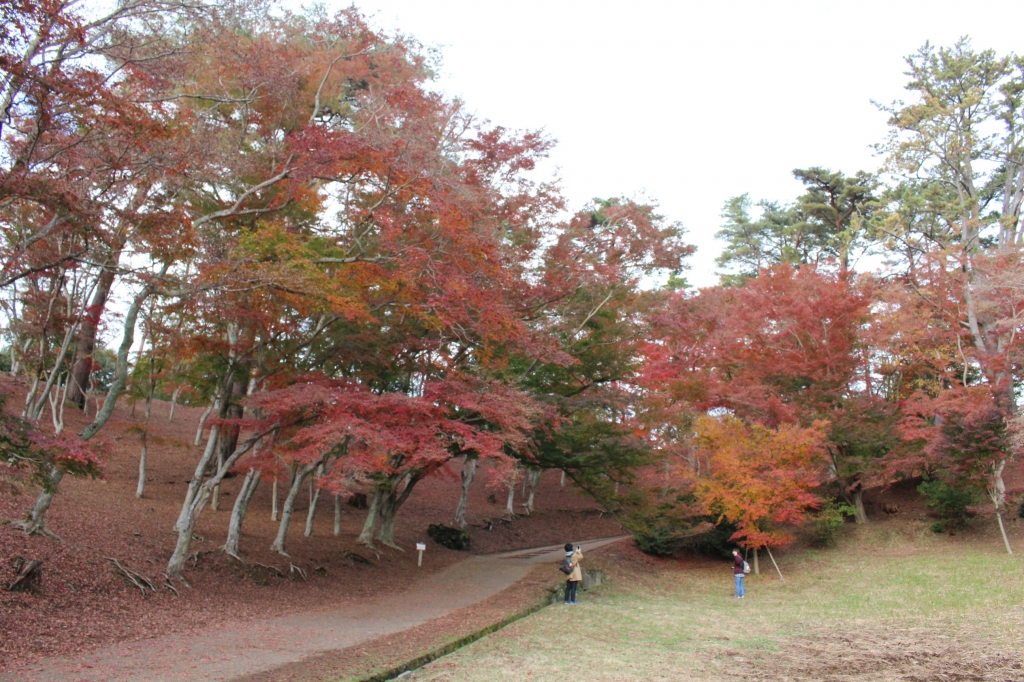 IMG_8686.JPG